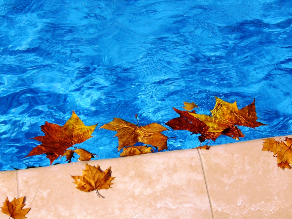 automne piscine